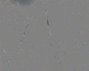 Asian Dick and White Girl