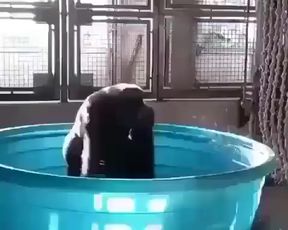 Hot babe dancing in pool