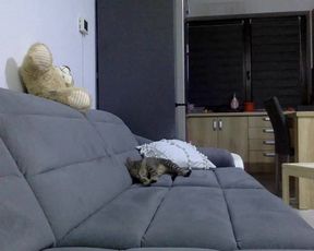 Giuly21 webcam show 2019-12-16_00-54-20_338