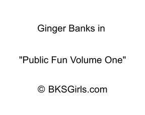 Ginger Banks Public Fun Volume 1