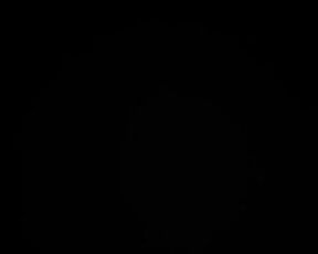 video project 8