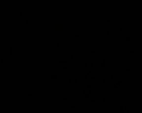 Sandryloven webcam show 2019-12-20_03-13-13_305