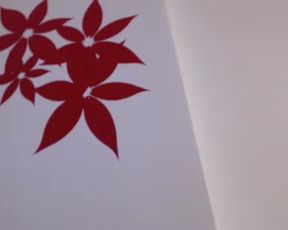 SunBunny (CremSucre_) before the boob job