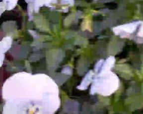 Lauriehot webcam show 2020-02-24_18-00-14_948