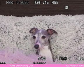 BlazeFyre _February-29-2020_ Cam Show pt 1