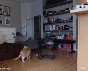 charlotte1996 _March-15-2020_Cam Show 1of9