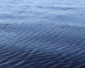 Pixie Pixelized Tropical Suck