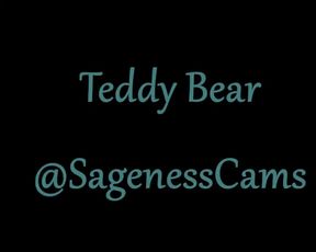 Sageness TeddyBear in private premium video